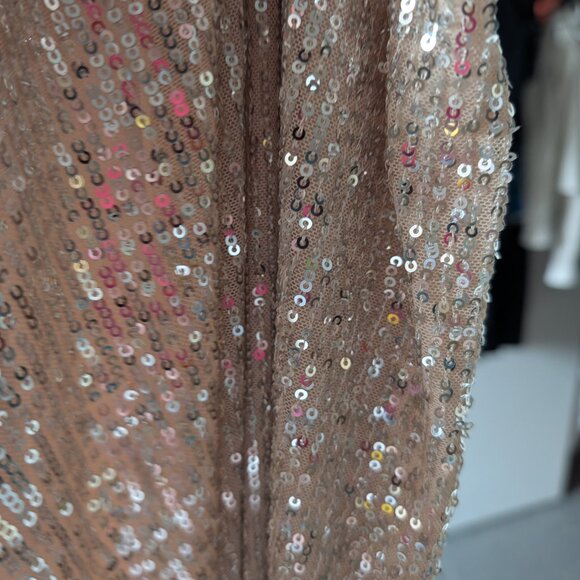 EUC Champagne Sequin Midi Skirt - Picture 4 of 6
